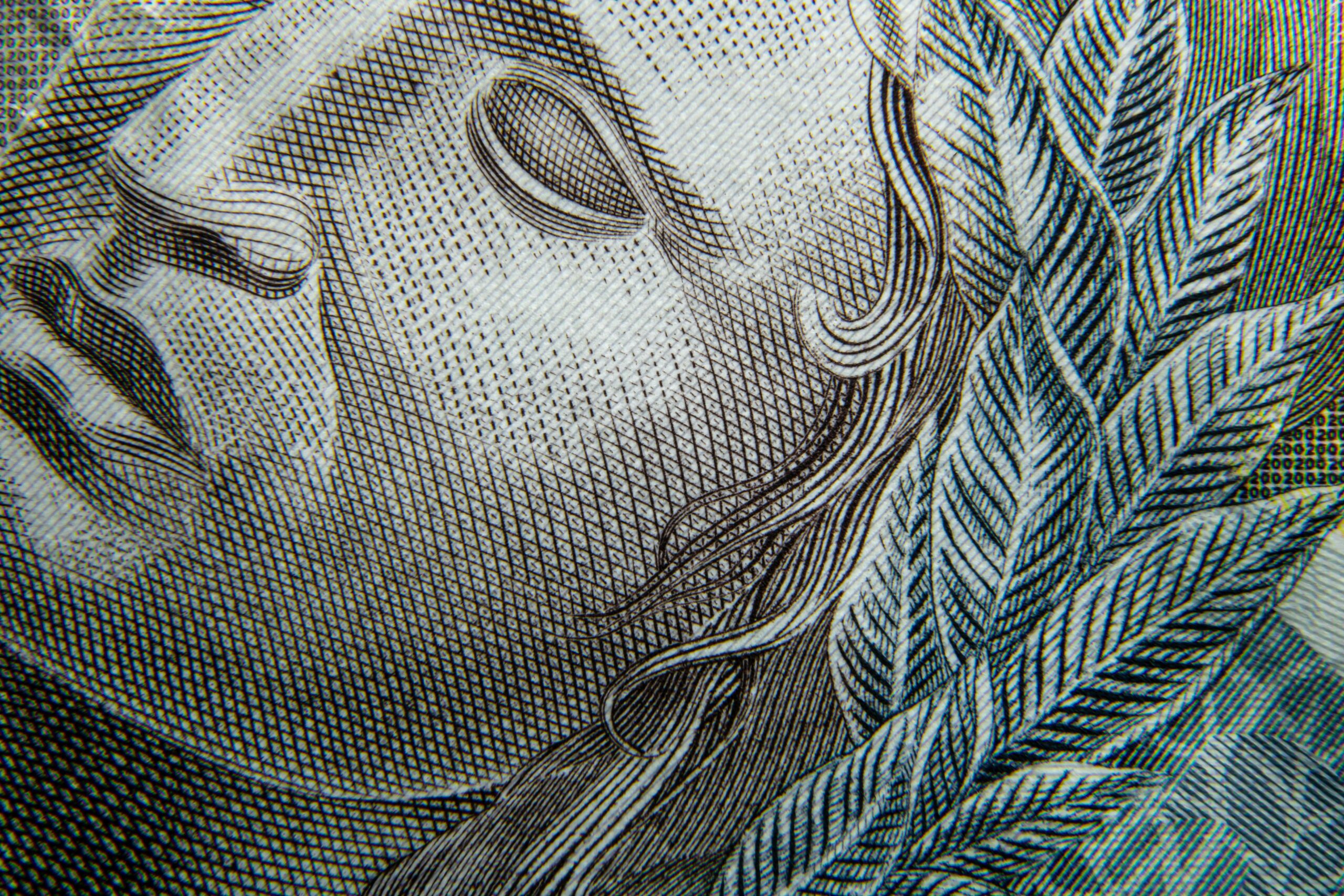 Why Do We (Love to) Hate Money So Much?