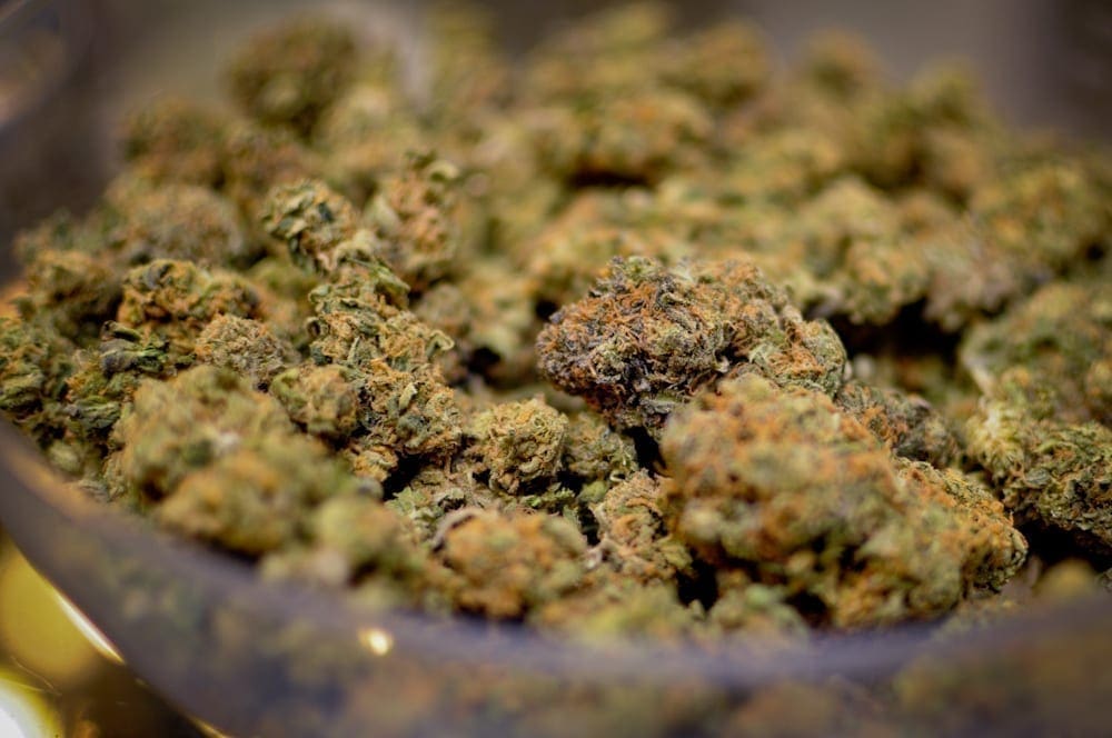 Massachusetts Wants To Boost The Marijuana Black Market