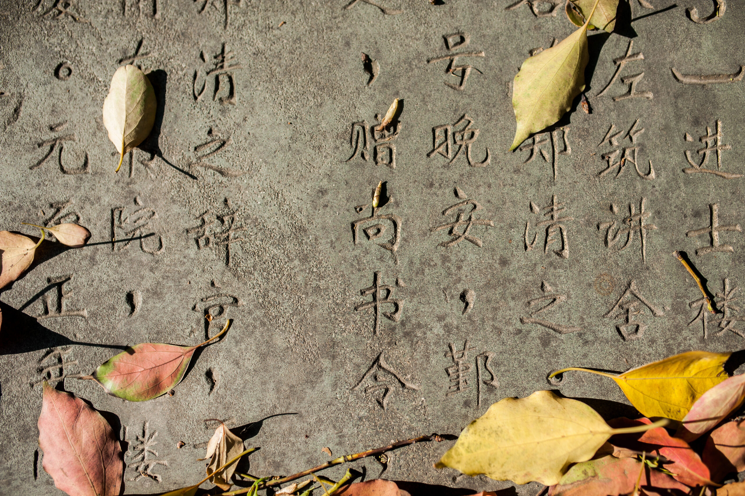 2,300 Years Ago, Chinese Philosopher Anticipates Ayn Rand