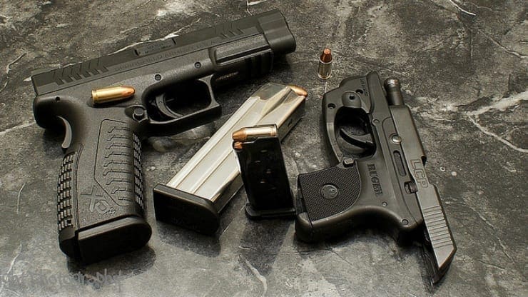 Western Australia Shows That Gun Control Has Its Limits