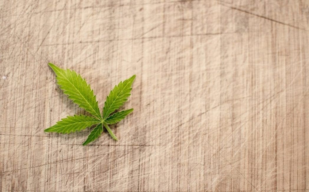 Virginia Legislators Vote To Expand Medical Cannabis Oil Law