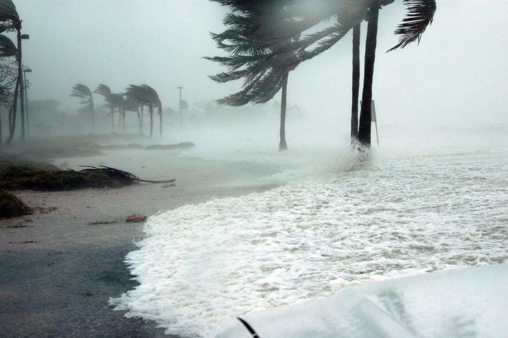 FEMA’s Incompetence In Puerto Rico: A Bug Or A Feature Of The System?