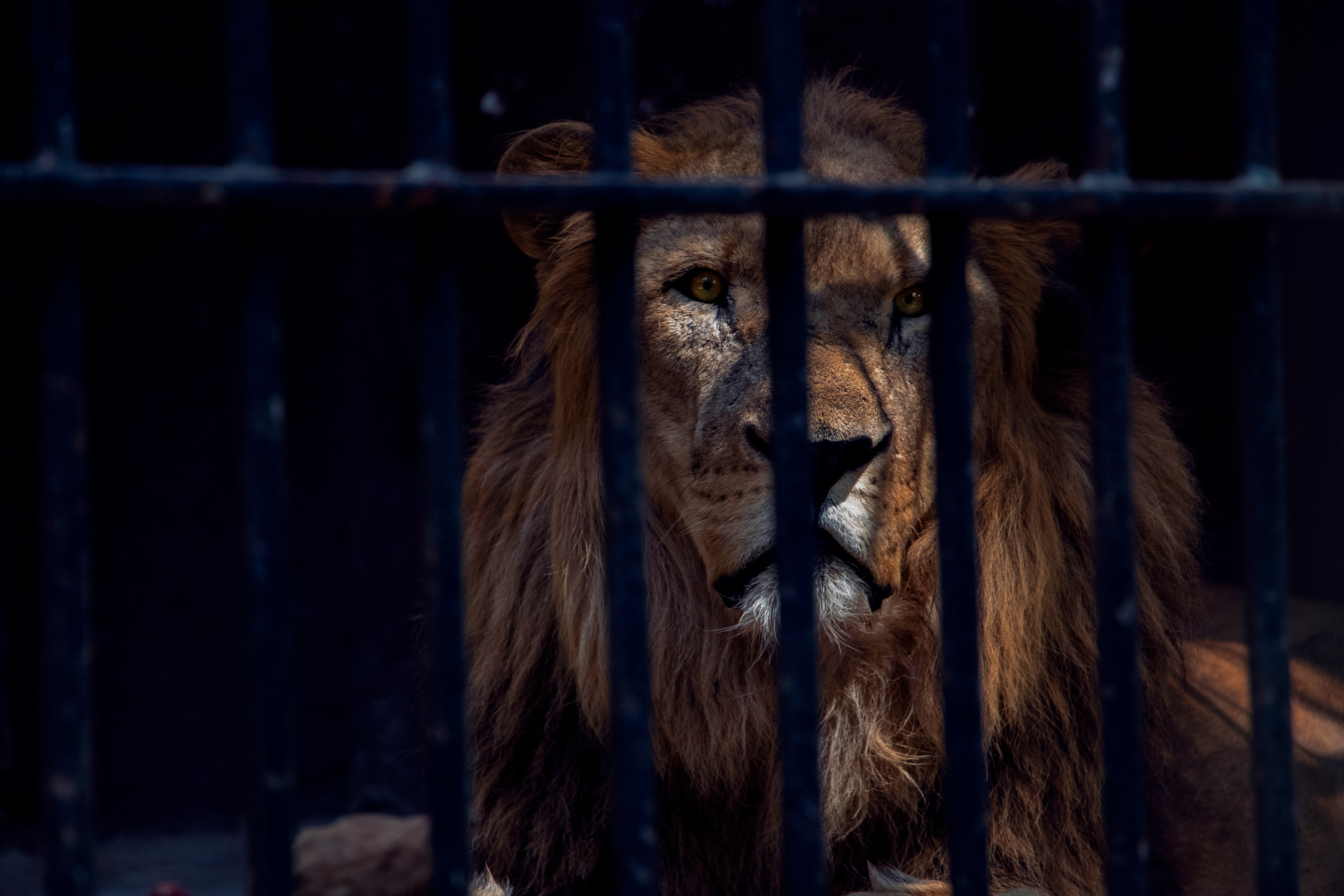The Illusion of Angry Strength: What Seneca Knew About Effectiveness