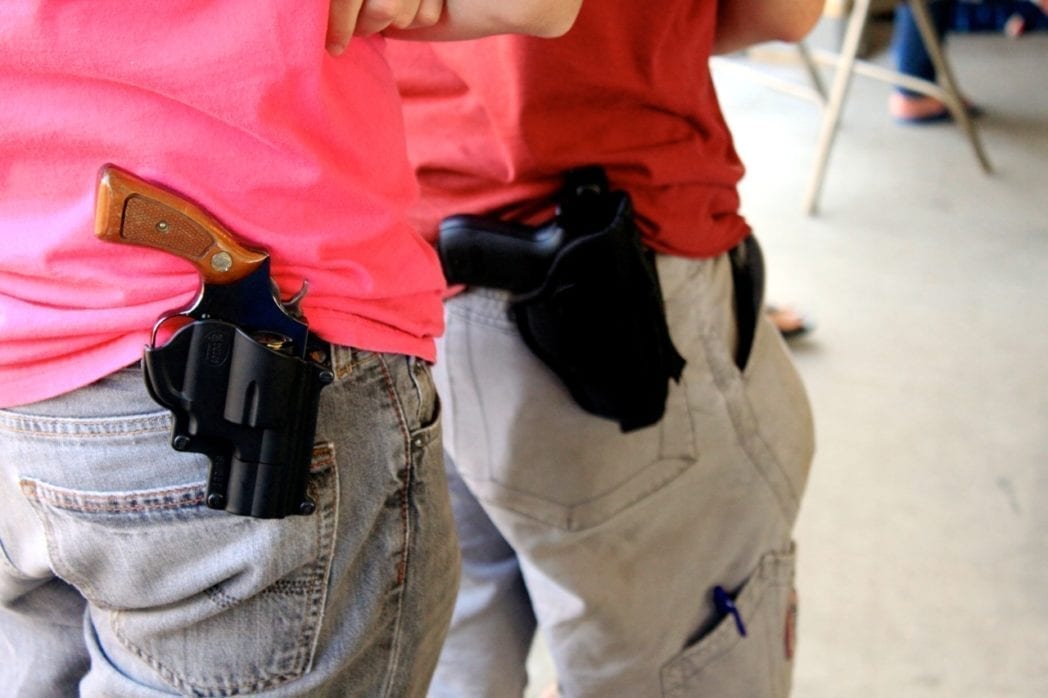 Virginians Are Acting Locally Against Gun Control