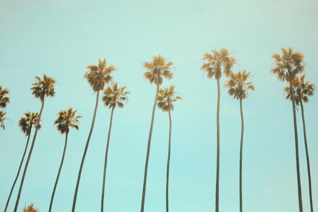 California Witnessed a Mass Exodus in 2019